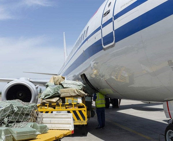 专业空运团队工作场景