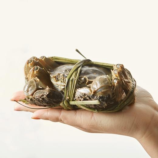 大闸蟹航空托运