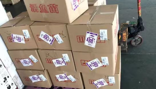 货运公司考察要点